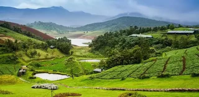 Ooty and Kodaikanal hill stations